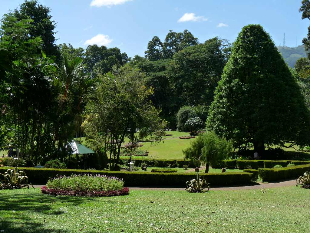41b.Botanická zahrada v Kandy