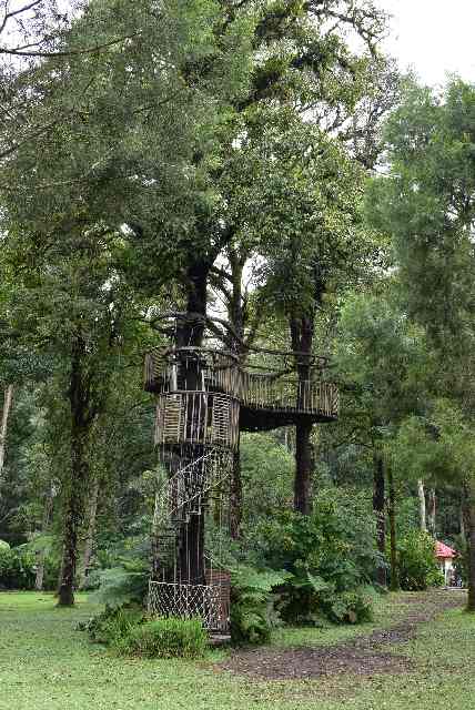 062.Bali Botanic Garden-Treetop Adventure Park