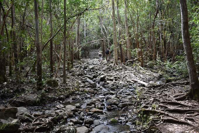 138.Mare aux Joncs Trail