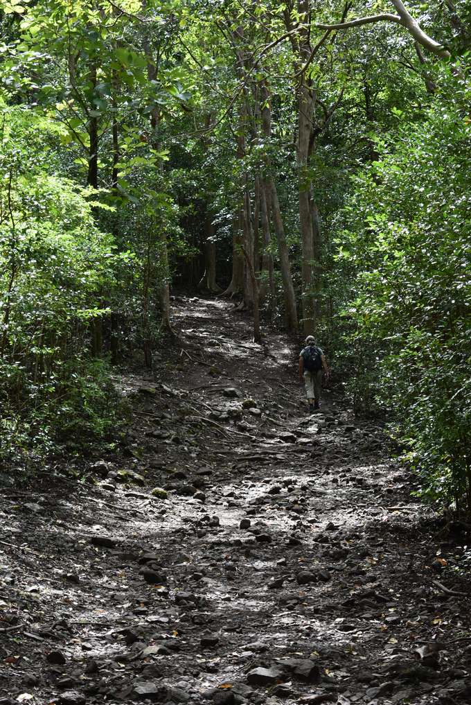 139.Mare aux Joncs Trail