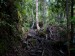 289.Bo - Bako National Park - trek Telok Pandan Besar & Telok Pandan Kecil