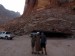 52e.Wadi Rum - Lawrencův pramen - náš průvodce