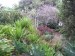 126.Funchal - botanická zahrada