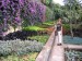 132.Funchal - botanická zahrada
