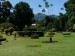 41a.Botanická zahrada v Kandy