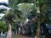 44.Pamplemousses - botanická zahrada